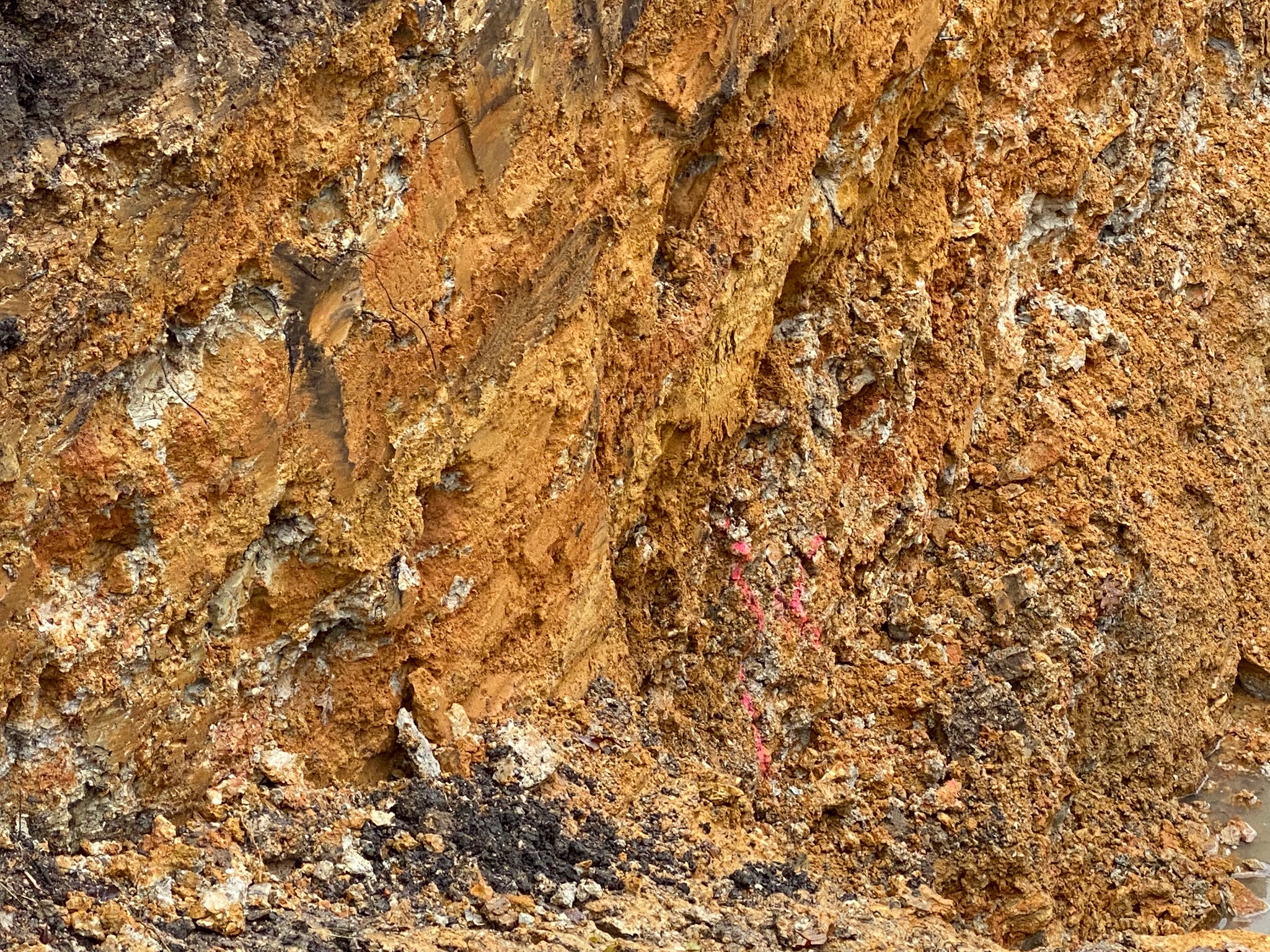 Lire la suite à propos de l’article 19,20 et 21 septembre 2025 – Journées du patrimoine