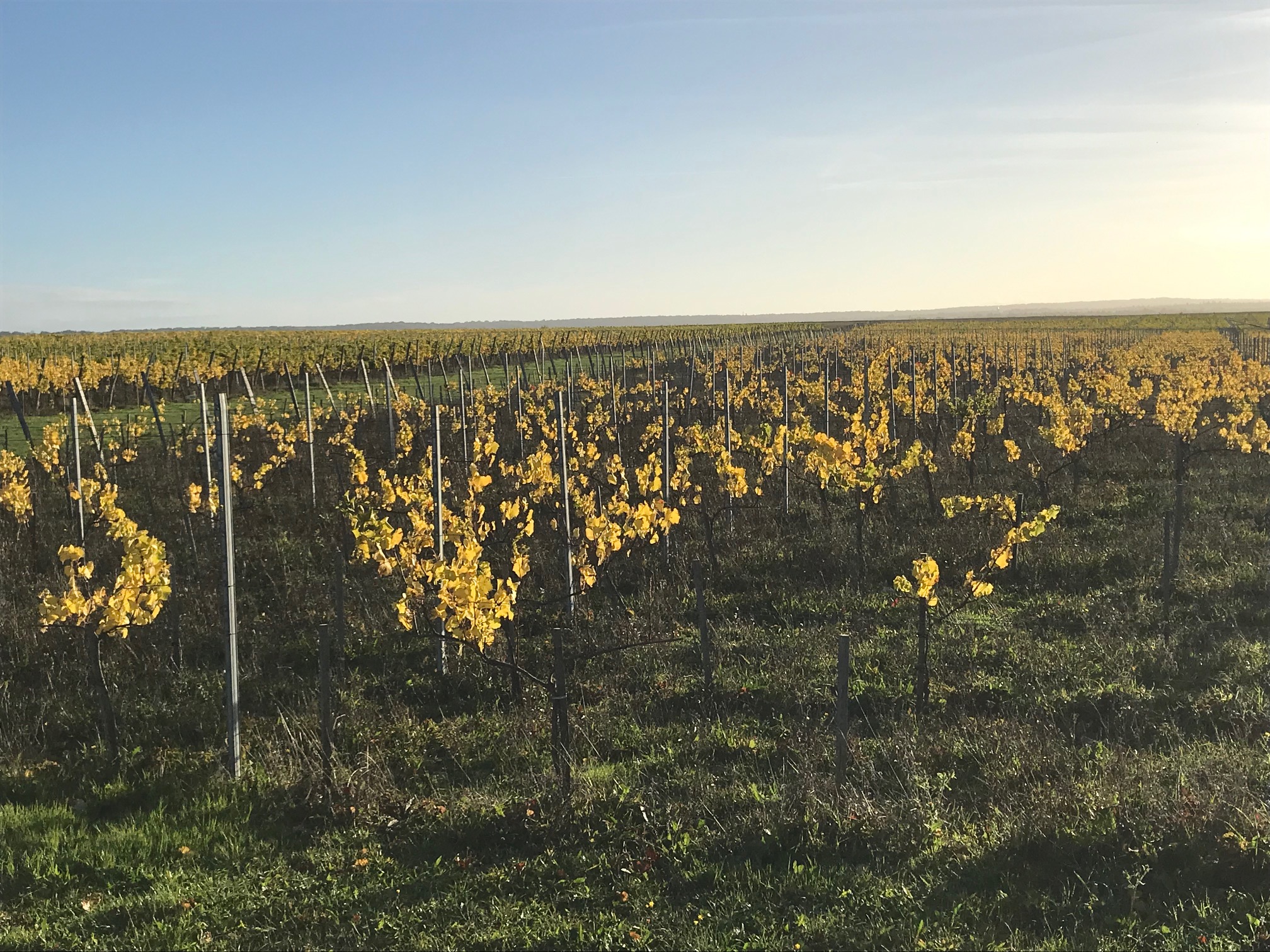 Lire la suite à propos de l’article Sortie samedi 13 décembre La Bouche du Roi